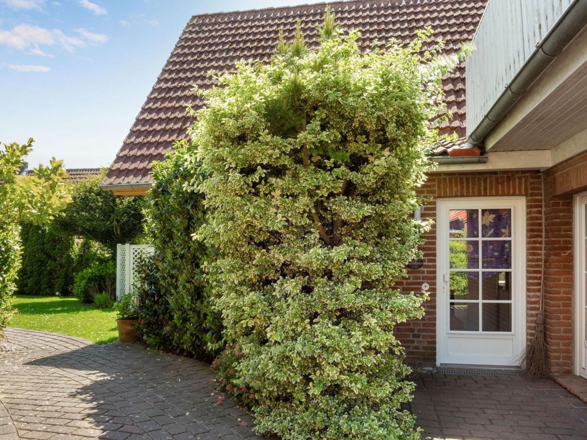 Enticing Holiday Home In Oldenburg With Garden Near Sea Dannau Luaran gambar